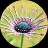 perfectposhing